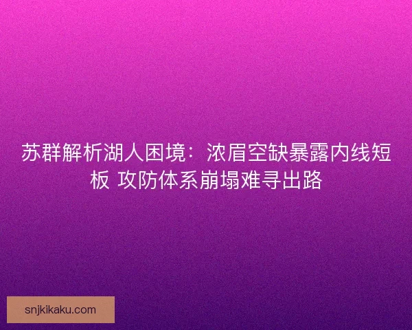 苏群解析湖人困境：浓眉空缺暴露内线短板 攻防体系崩塌难寻出路